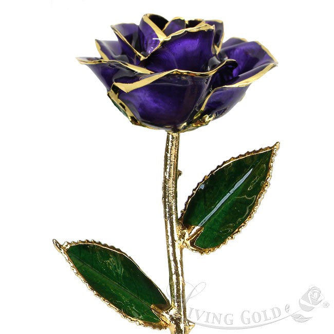 Purple Rose (October)