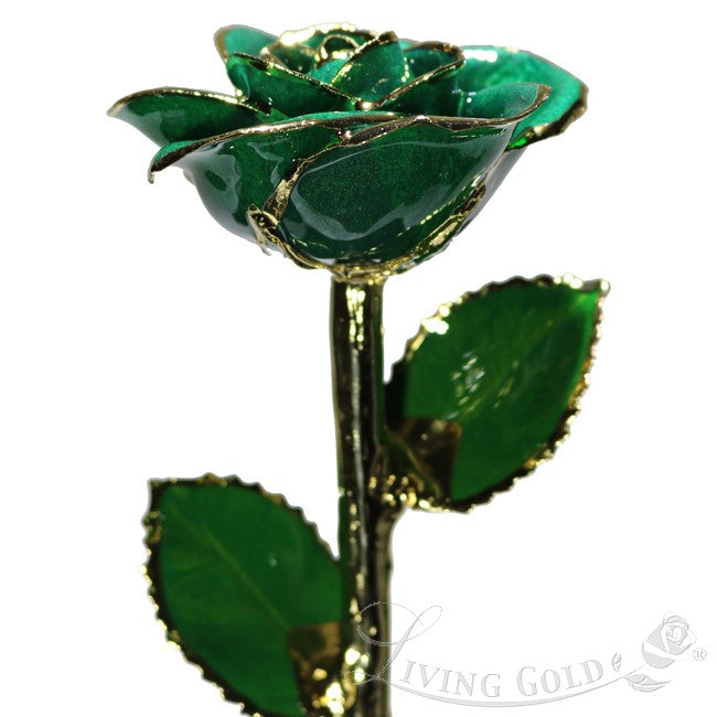 Dark Green Rose (May)