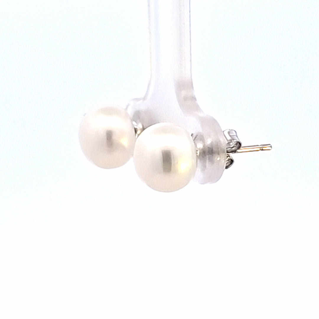 Silver Earring