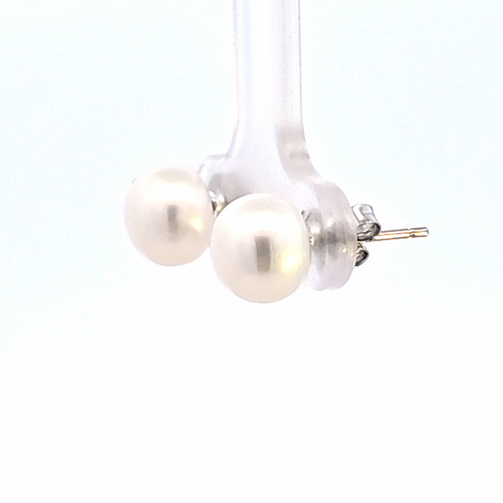 Silver Earring