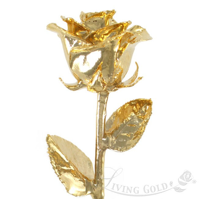 24K Venus Rose Bud