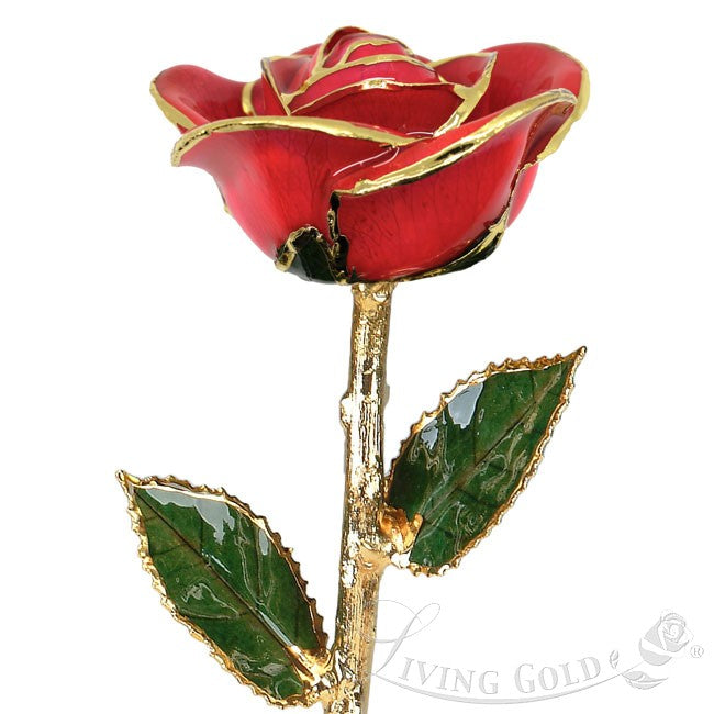 Bright Red Rose (July)