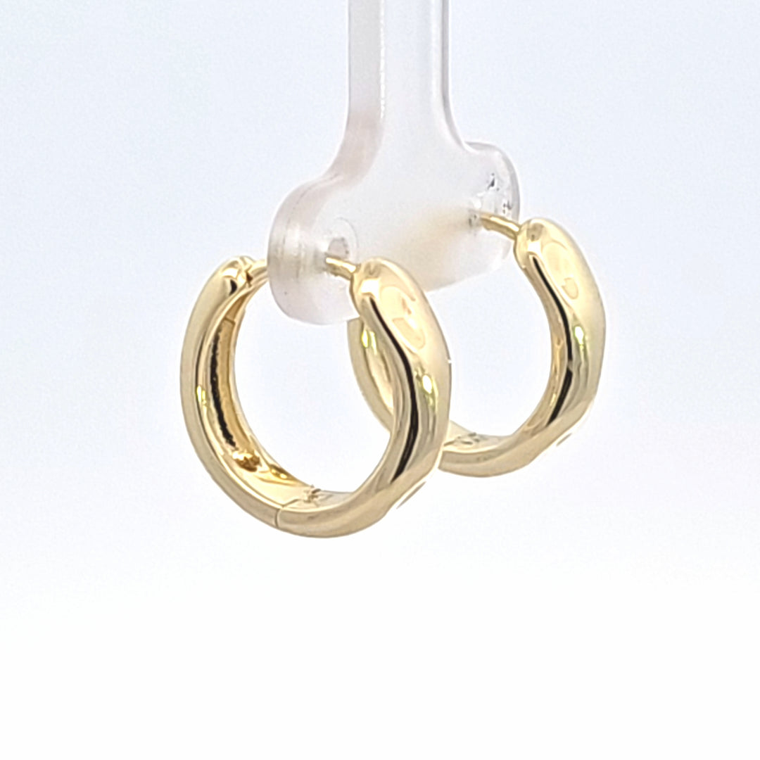 Silver Earring