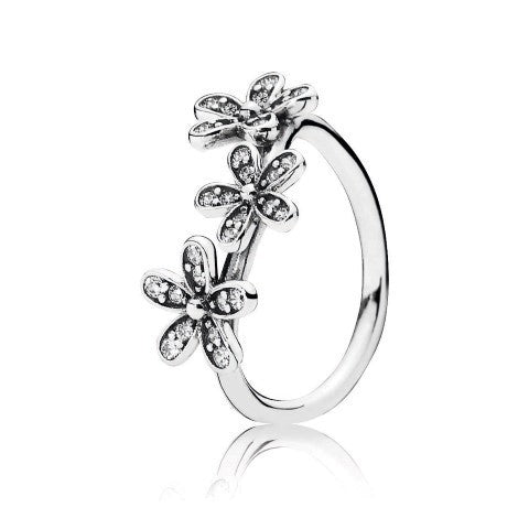 Pandora Jewelry