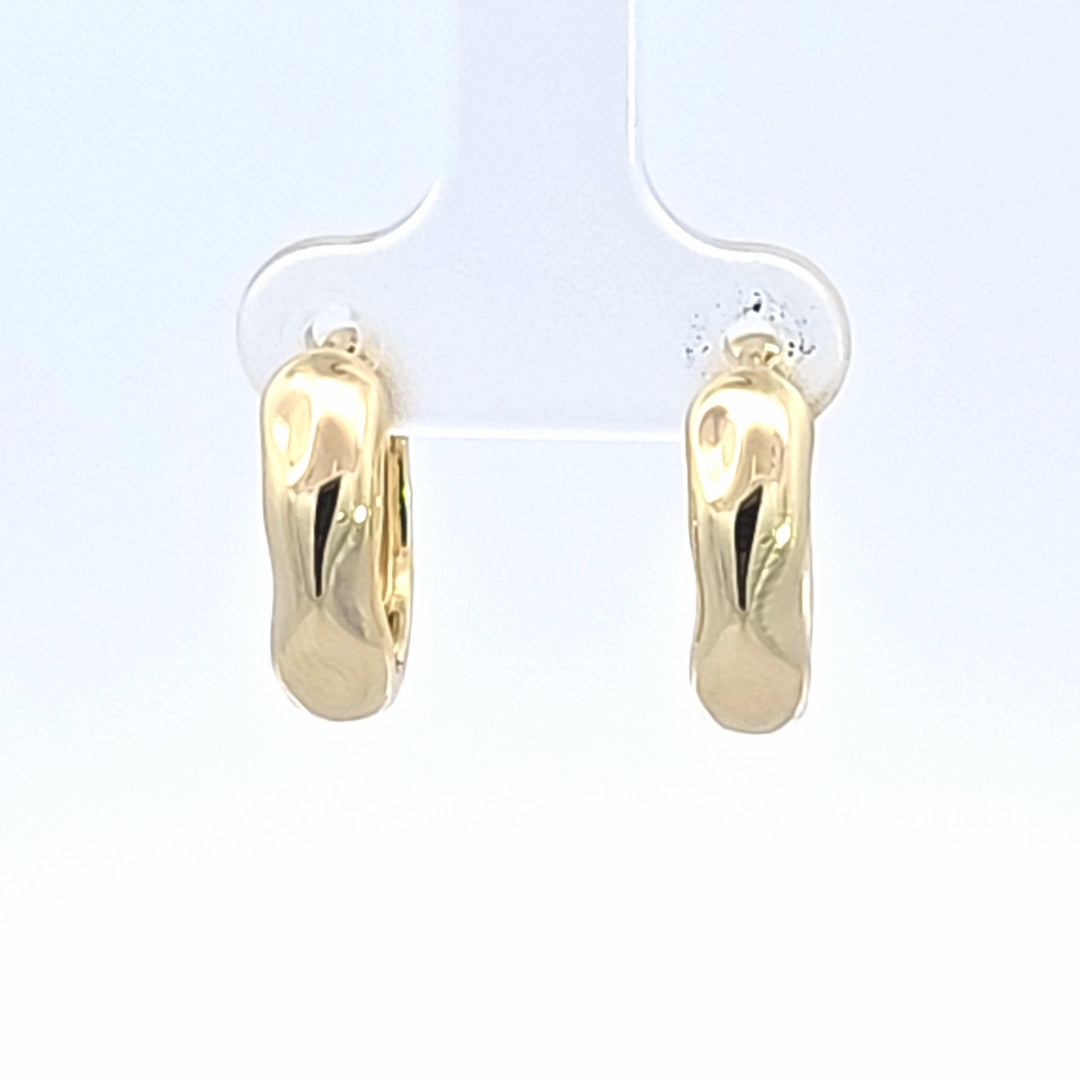 Silver Earring