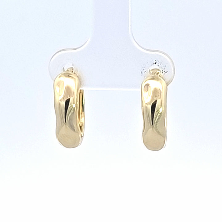 Silver Earring