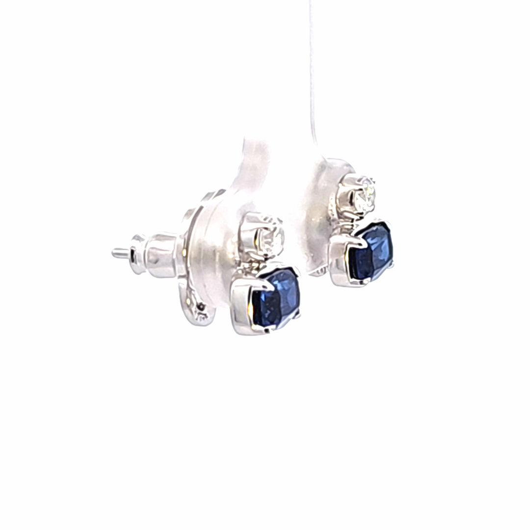 Silver Earring