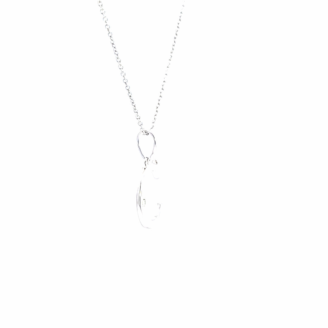 Silver Charms/Pendant