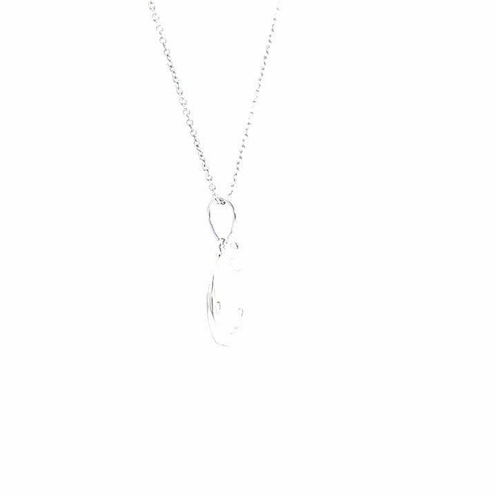 Silver Charms/Pendant