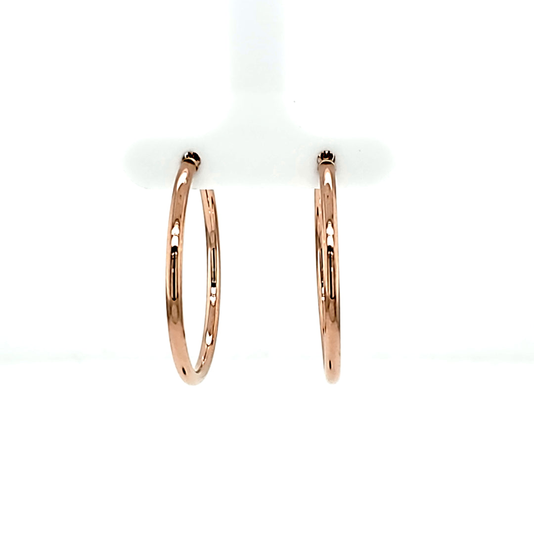 Precious Metal (No Stones) Earring