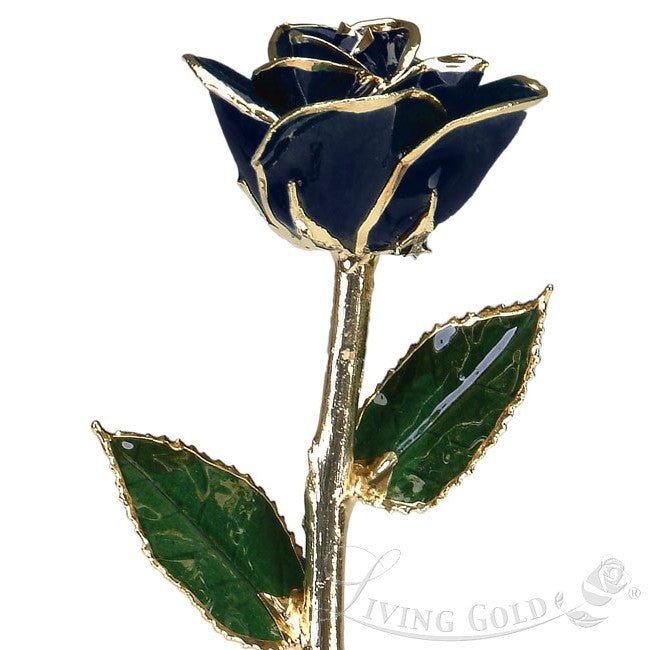 Black Rose