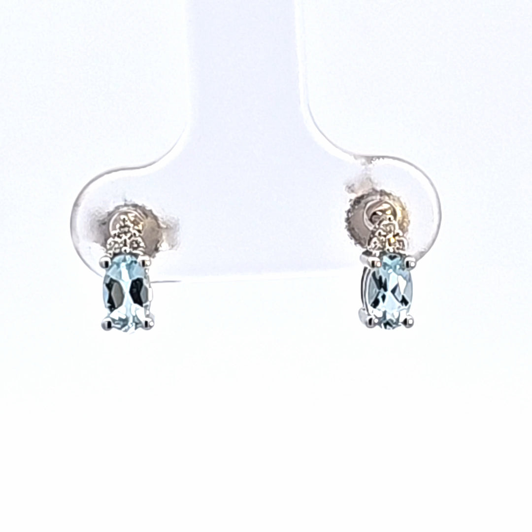 Colored Stone Earring