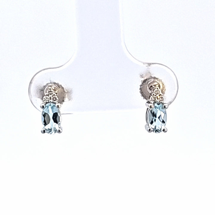 Colored Stone Earring