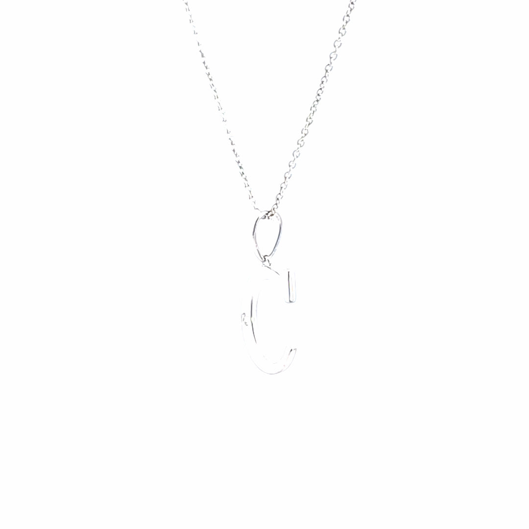 Silver Charms/Pendant