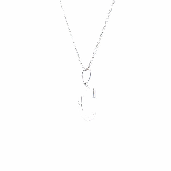 Silver Charms/Pendant