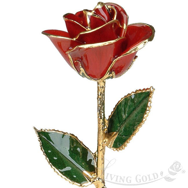 Red Rose (January)